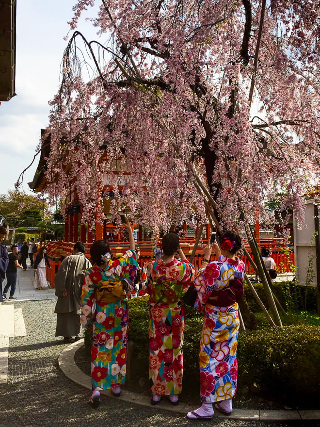 o que fazer em kyoto japonesas roupa tradicional sakura - Um dia em Kyoto vestida como uma japonesa tradicional