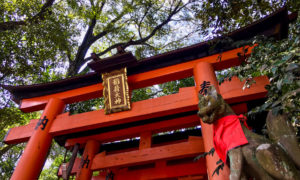 Visite o Santuário Fushimi Inari em Kyoto Japão