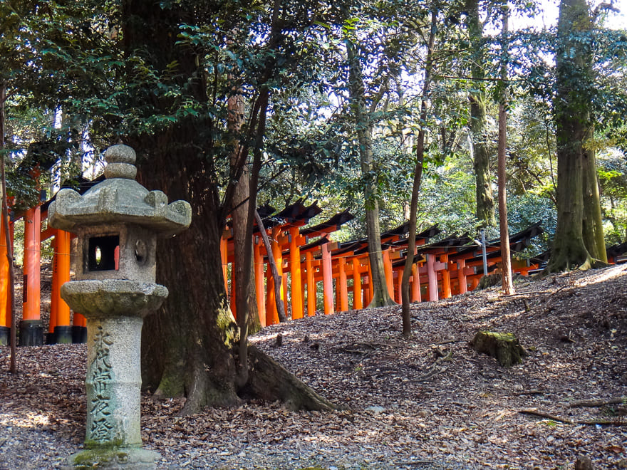 fushimi inari em kyoto tunel toori visto fora - Visite o Santuário Fushimi Inari em Kyoto Japão