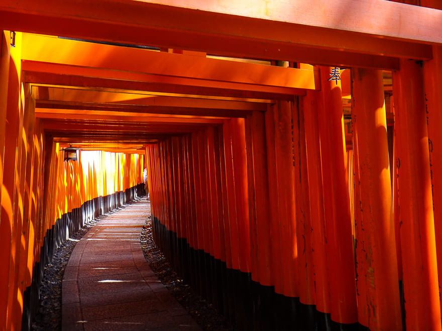 fushimi inari em kyoto tunel torii - Visite o Santuário Fushimi Inari em Kyoto Japão