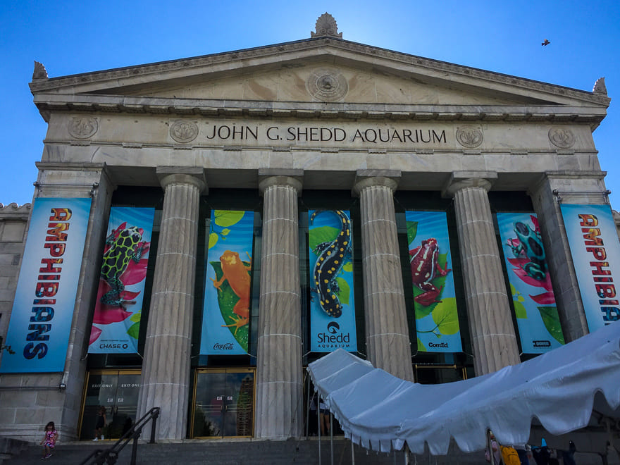 museus em chicago shedd aquarium fachada - 7 Museus em Chicago - Museum Week