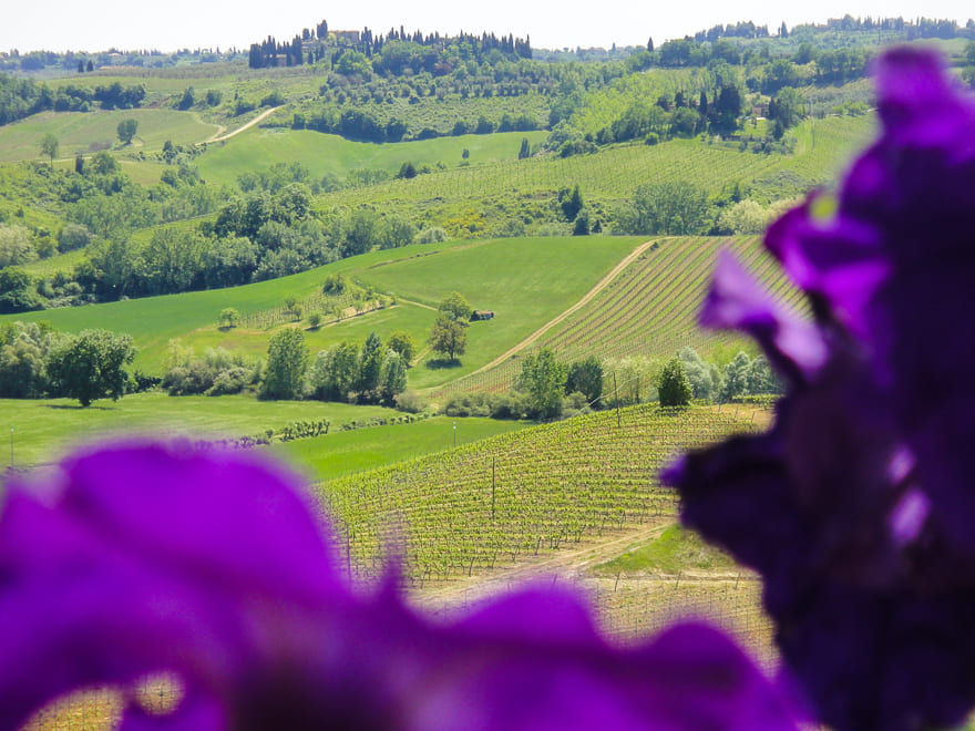 o que fazer na toscana paisagem flores - Roteiro pela Toscana: 7 dias inesquecíveis. Encante-se!