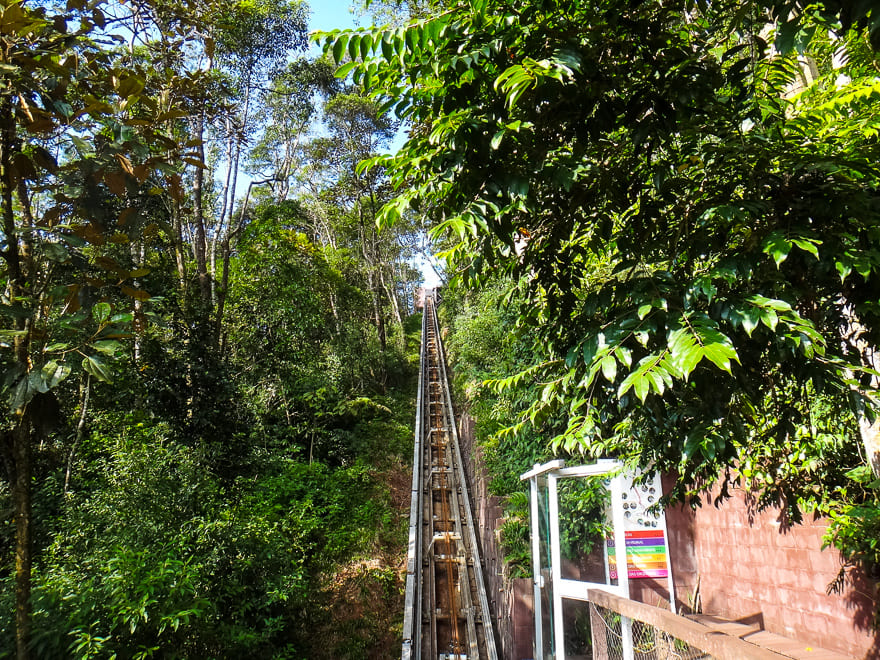 parque ecologico imigrantes sp funicular - Parque Ecológico Imigrantes: Mata Atlântica em São Paulo [8on8]