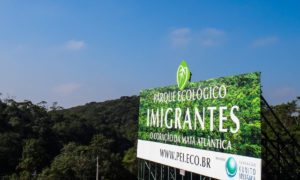 Parque Ecológico Imigrantes: Mata Atlântica em São Paulo [8on8]