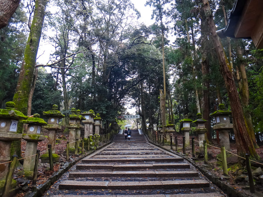 nara japao floresta - Nara Japão: roteiro de viagem para se encantar [8on8]