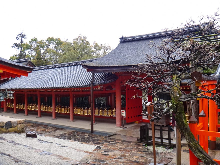 nara japao kasuga taisha templo - Nara Japão: roteiro de viagem para se encantar [8on8]