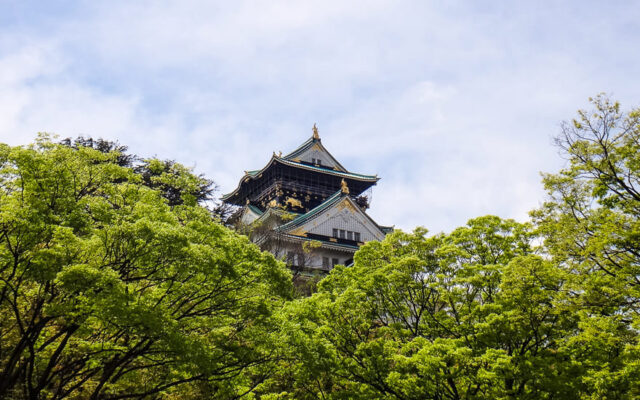 vista do parque do castelo de osaka japao