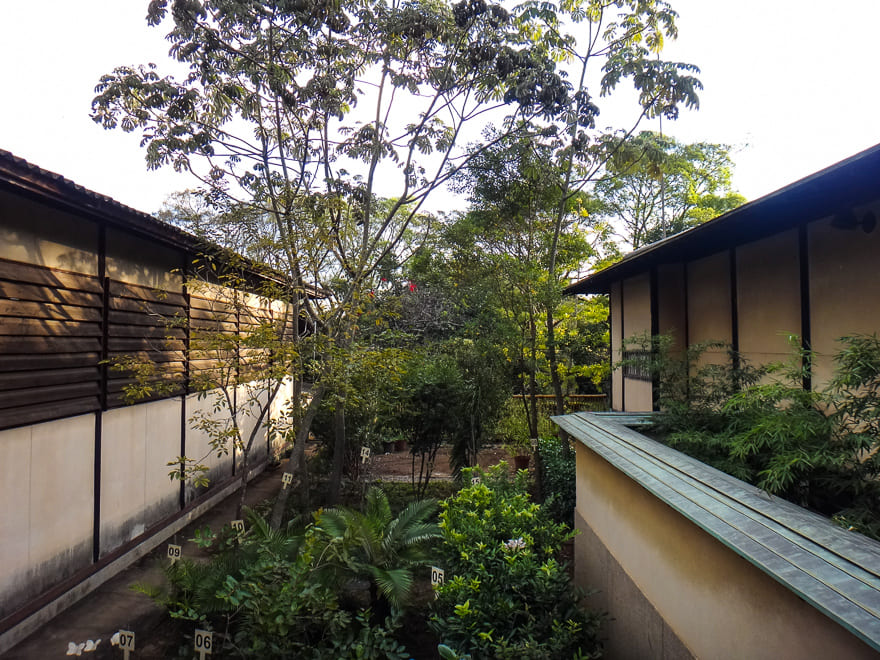 pavilha%CC%83o japones no ibirapuera jardim tropical - Pavilhão Japonês no Ibirapuera: um oásis de tranquilidade