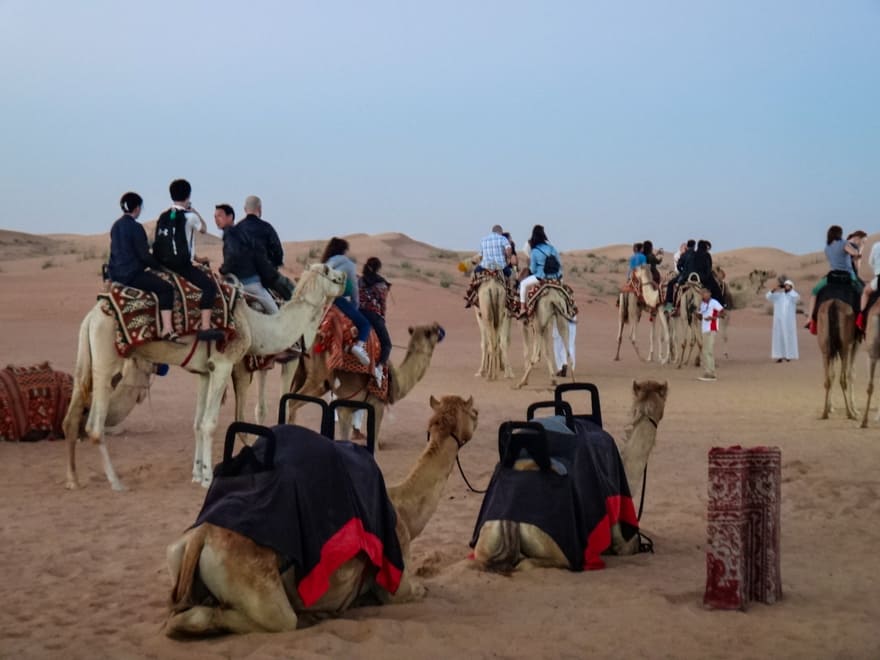 dubai deserto passeio camelo - Roteiro em Dubai: 3 dias nas arábias!