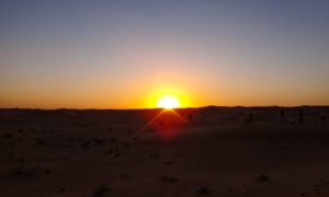 Safári no Deserto de Dubai. Sol, areia e emoção [8on8]