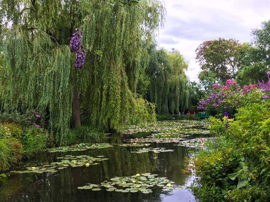lago ninfeias giverny - Jardins de Monet em Giverny: inesquecível bate-volta de Paris [8on8]