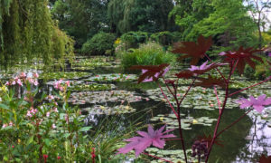 Jardins de Monet em Giverny: inesquecível bate-volta de Paris [8on8]