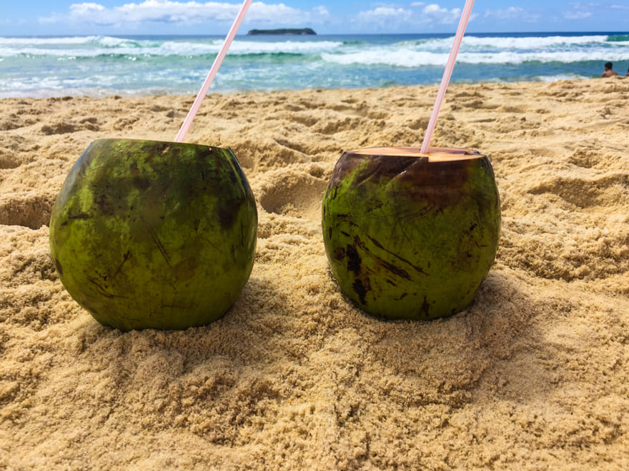 coco praia mole florianopolis sc - Feriados 2022: calendário com os feriadões para viajar