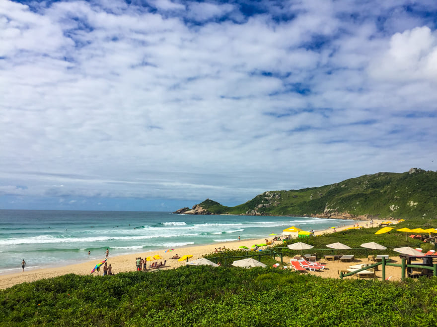 praia mole viagem florianopolis sc - Praias em Florianópolis: 3 sugestões para relaxar e aproveitar [8on8]