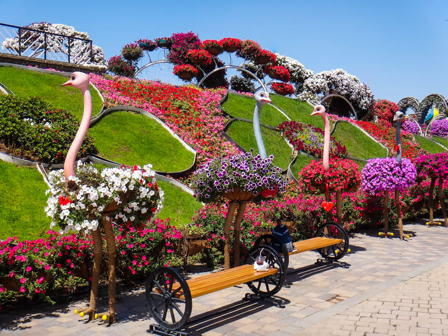 decoracao flores dubai - O jardim de Dubai: o lindo e imperdível Dubai Miracle Garden!