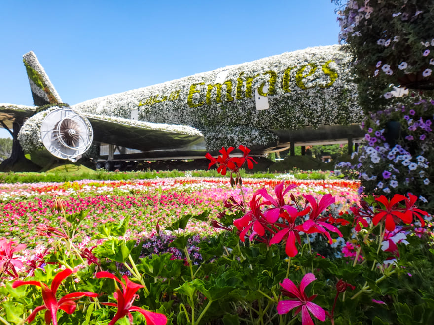 detalhe aviao flores dubai - O jardim de Dubai: o lindo e imperdível Dubai Miracle Garden!