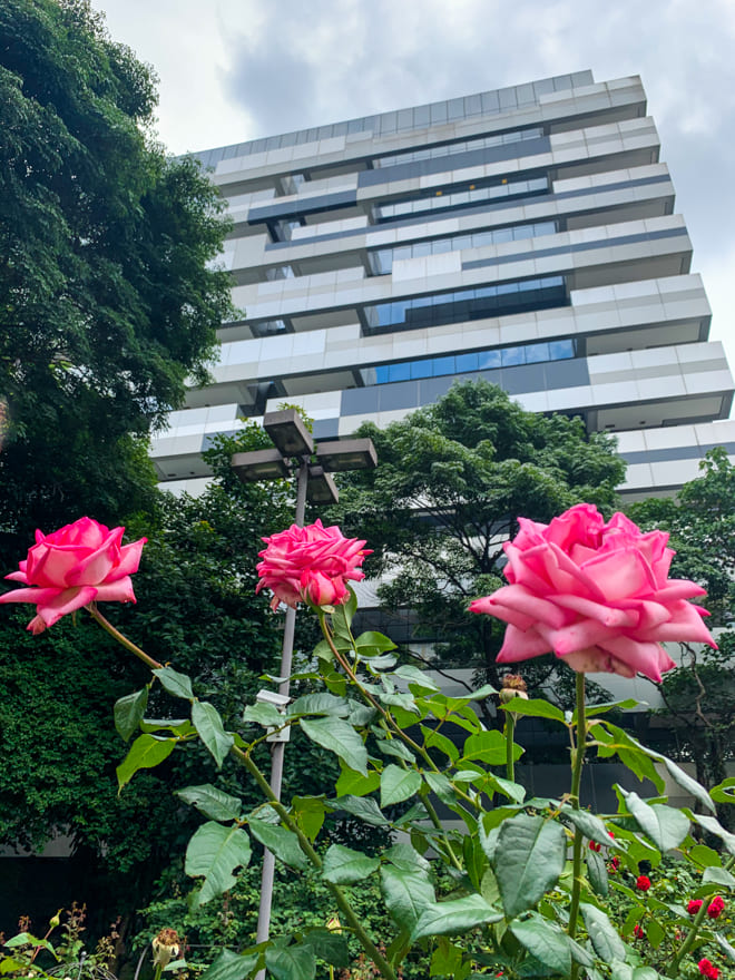 predio moderno rosa jardim av paulista - Casa das Rosas SP: um lindo passeio na Av. Paulista