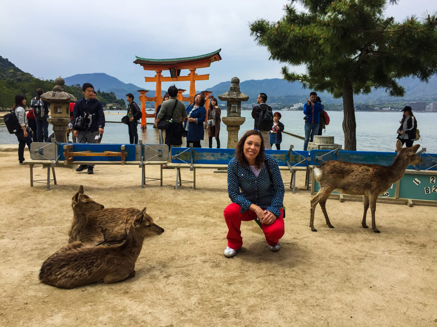 cervos ilha miyajima japao - O que fazer em Hiroshima. Super roteiro de viagem de 2 dias