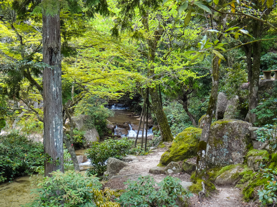 floresta caminho teleferico miyajima - Ilha Sagrada de Miyajima: tudo para você conhecer e se encantar.