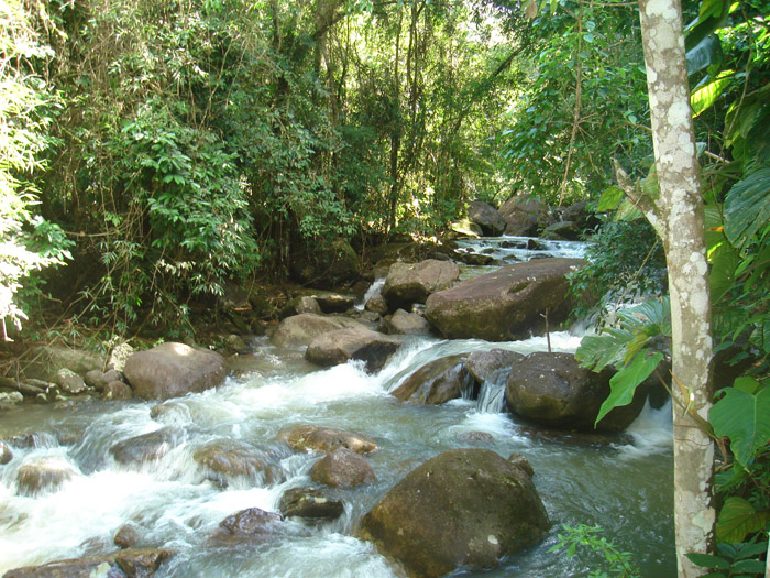 penedo ecoturismo tres cachoeiras - O que fazer em Penedo RJ: guia para um fim de semana perfeito!