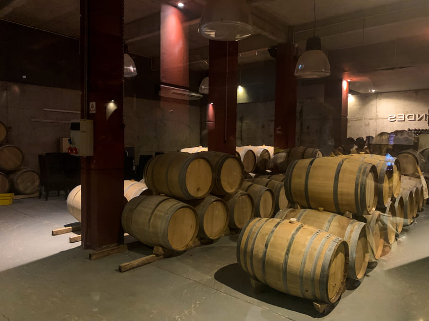 barricas vinho cave vistandes - Melhores vinícolas de Mendoza para visitar. Brindes na Argentina! [guia]