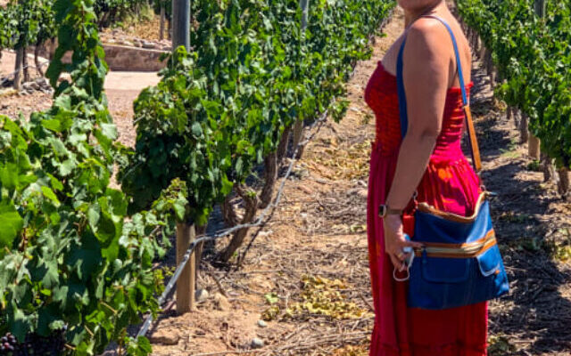 melhores vinicolas de mendoza para visitar vinheods