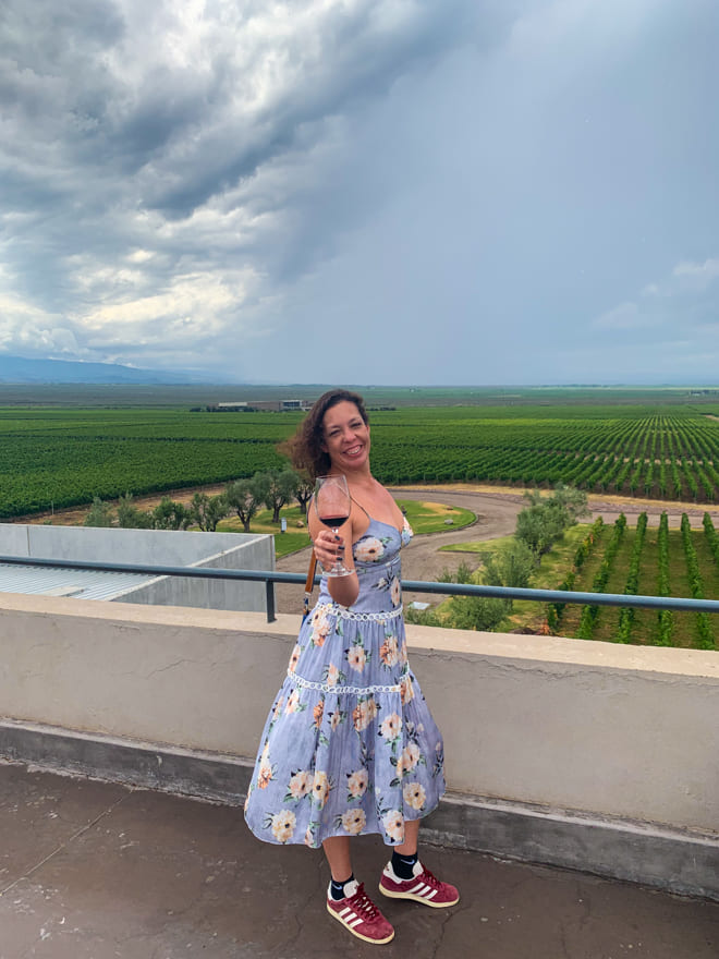 vista terrac%CC%A7o monteviejo - Melhores vinícolas de Mendoza para visitar. Brindes na Argentina! [guia]