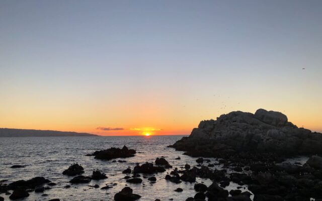 vina del mar lugares para conhecer no chile