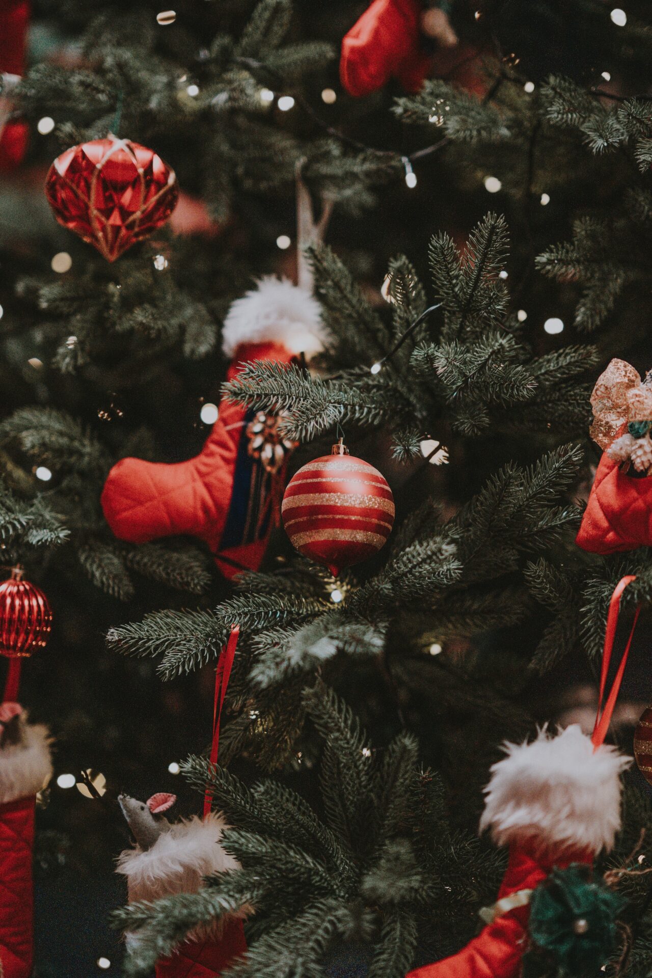 6 Mais Belos Destinos De Natal Do Mundo - Let's Fly Away 6 Mais Belos Destinos De Natal Do Mundo - Let's Fly Away