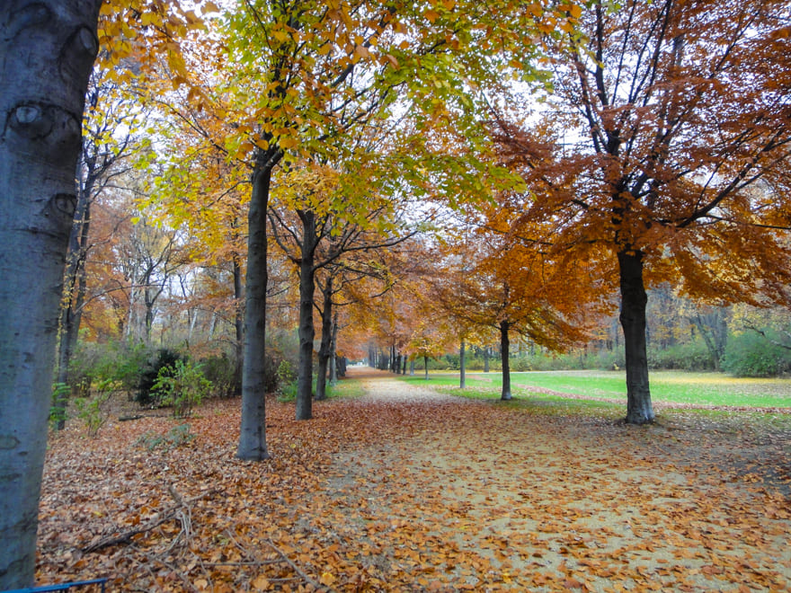 parque tiergarten berlim outono