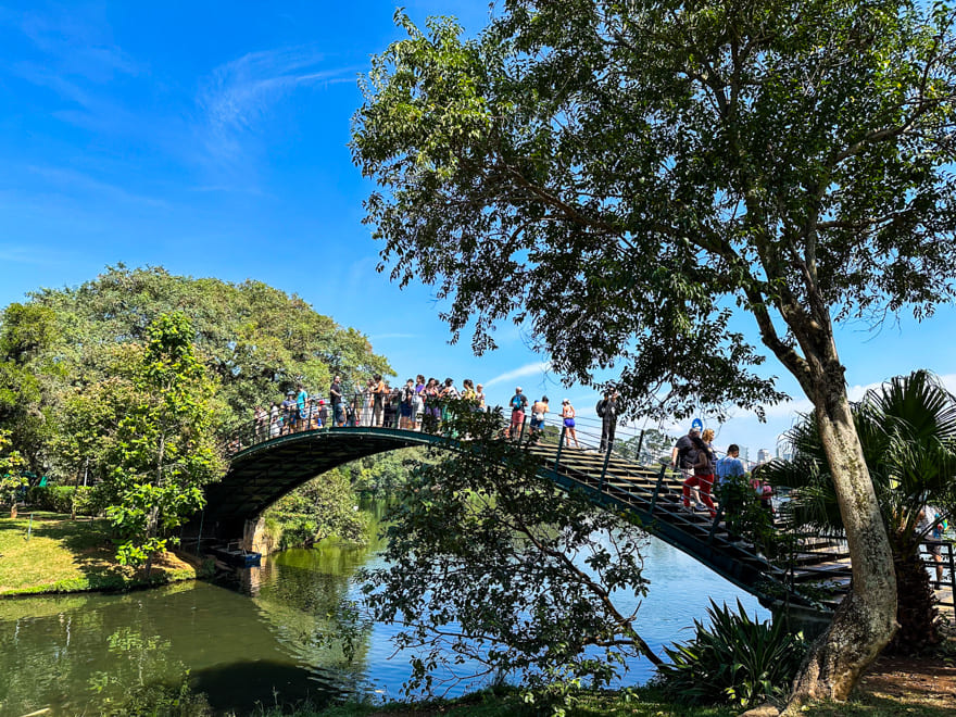 ponte parque ibirapuera