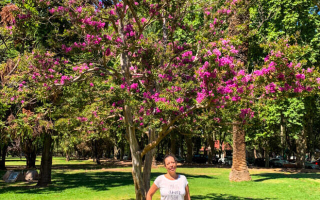parque-san-martin-verao-argentina