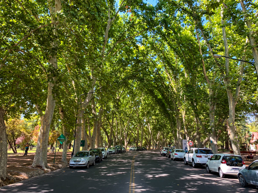 rua-arborizada-o-que-fazer-mendoza