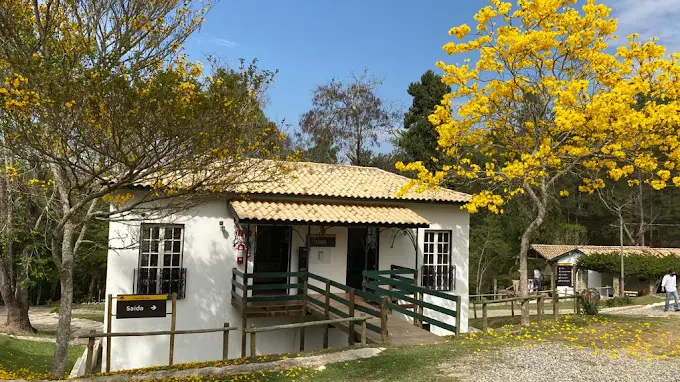 enoturismo em São Paulo - Lets Fly Away