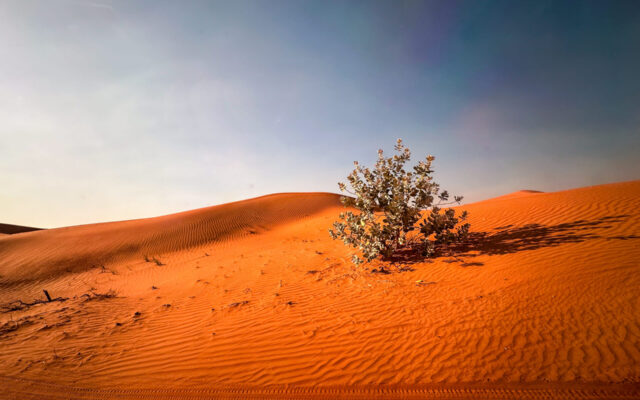 Viagem Ras Al Khaimah - Lets Fly Away