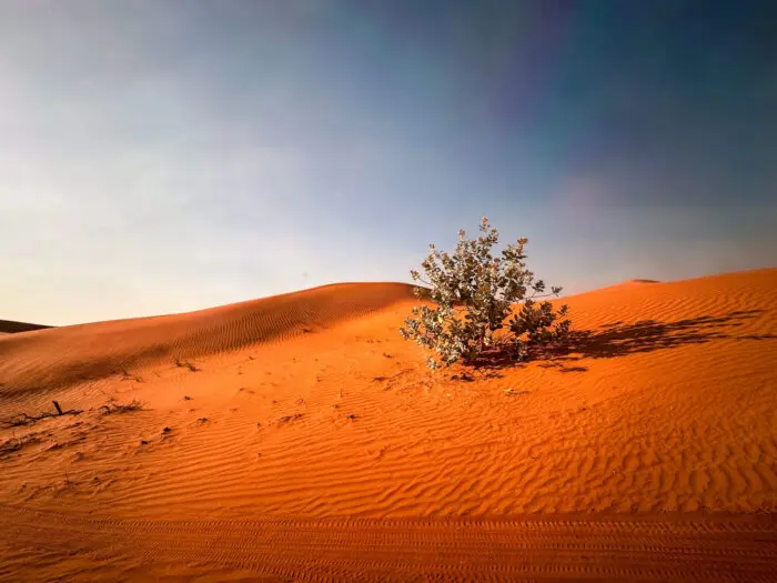 Viagem Ras Al Khaimah - Lets Fly Away