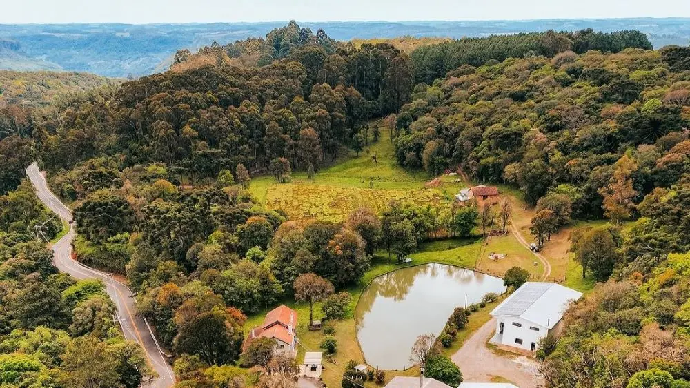 Vinícolas em Gramado e Canela - Lets Fly Away