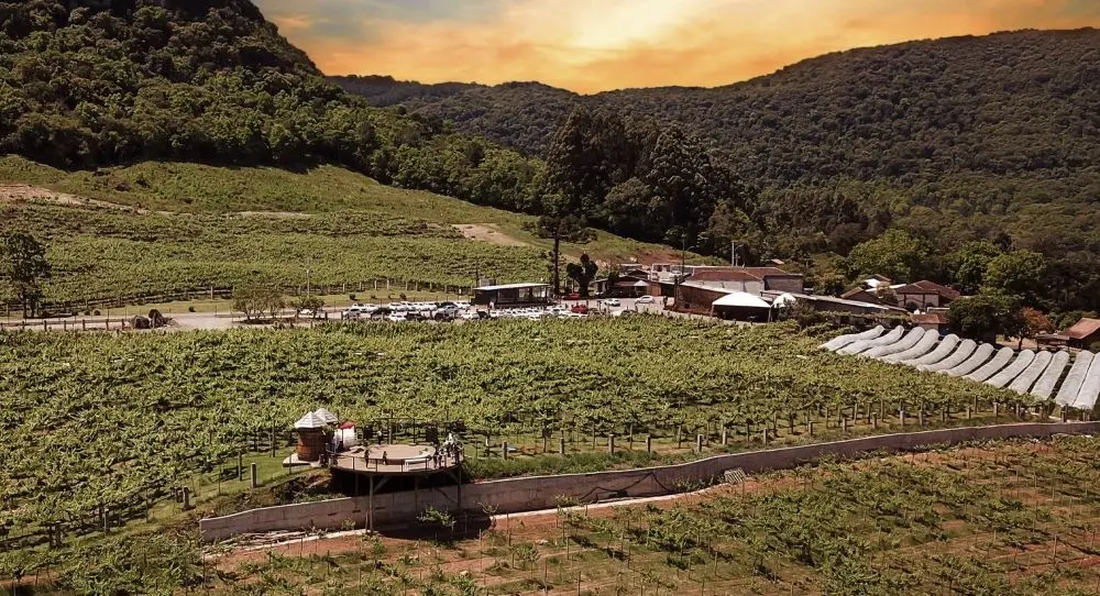 Vinícolas em Gramado e Canela - Lets Fly Away