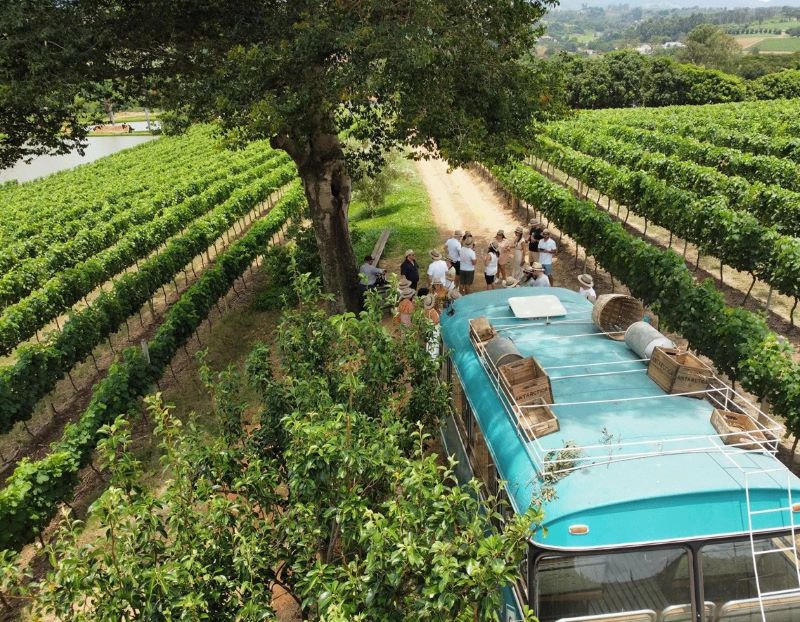 circuito do vinho em Minas Gerais - Lets Fly Away