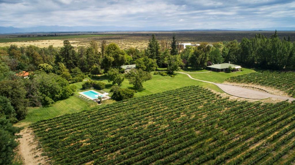 hotel com vista para vinhedos em Mendoza - Lets Fly AWAY