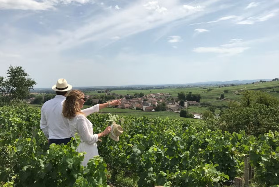 tour guiado em vinícolas na França - Lets Fly Away