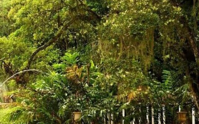 Ingressos para Jardim Botânico do Rio de Janeiro - Lets Fly Away