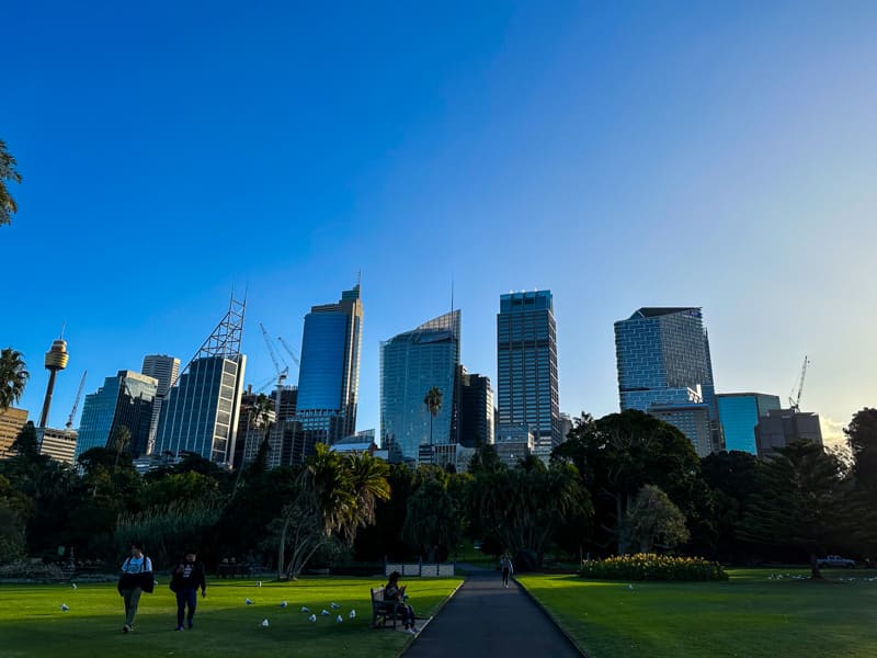 skyline Sydney australia lets fly away