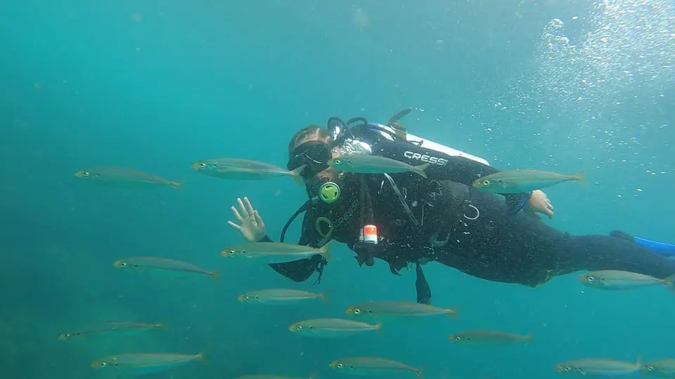 mergulho em Arraial do Cabo - Lets Fly Away