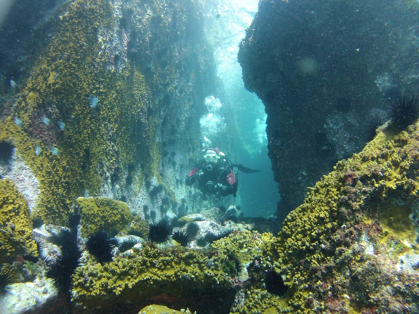mergulho em Arraial do Cabo - Lets Fly Away