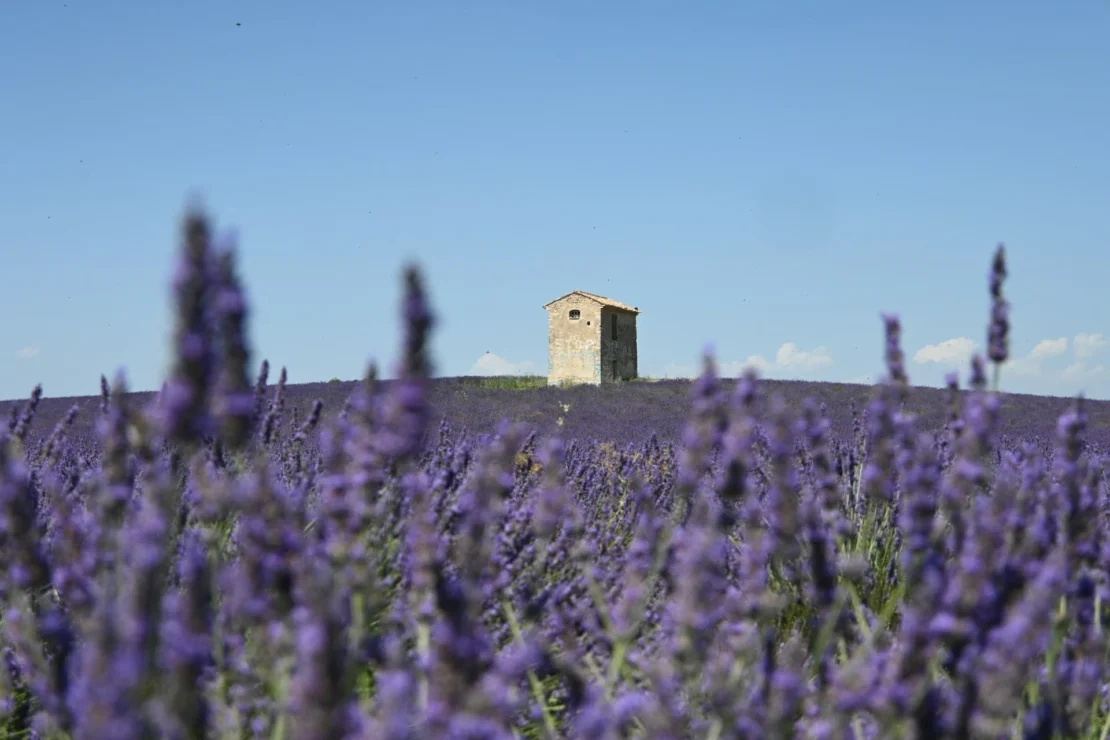 provence franca interior | lets fly away